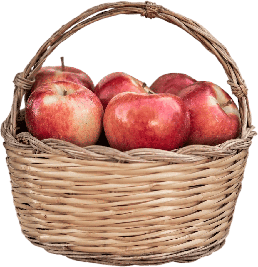Amrita Farms Apple U-pick