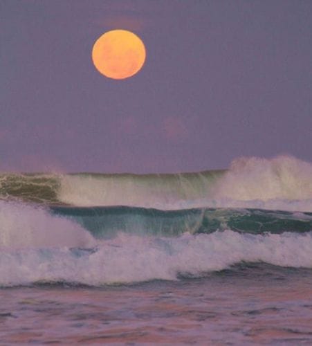 Full Moon Skinny Dip