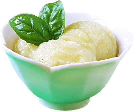 Basil Lime Sorbet Recipe