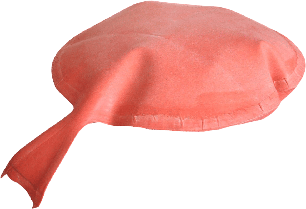 Whoopee cushion
