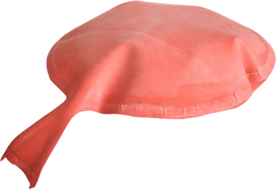Whoopee Cushion