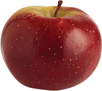 Learning about apples