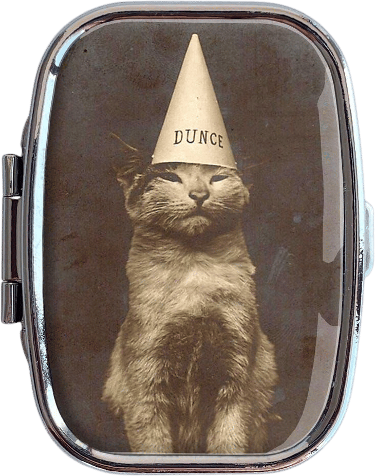 Dunce Cat Small Pill Box Case - Cute Cat Lover Medicine Container, Vitamins Organizer, Gum Tic Tacs Mint Holder, Travel Size