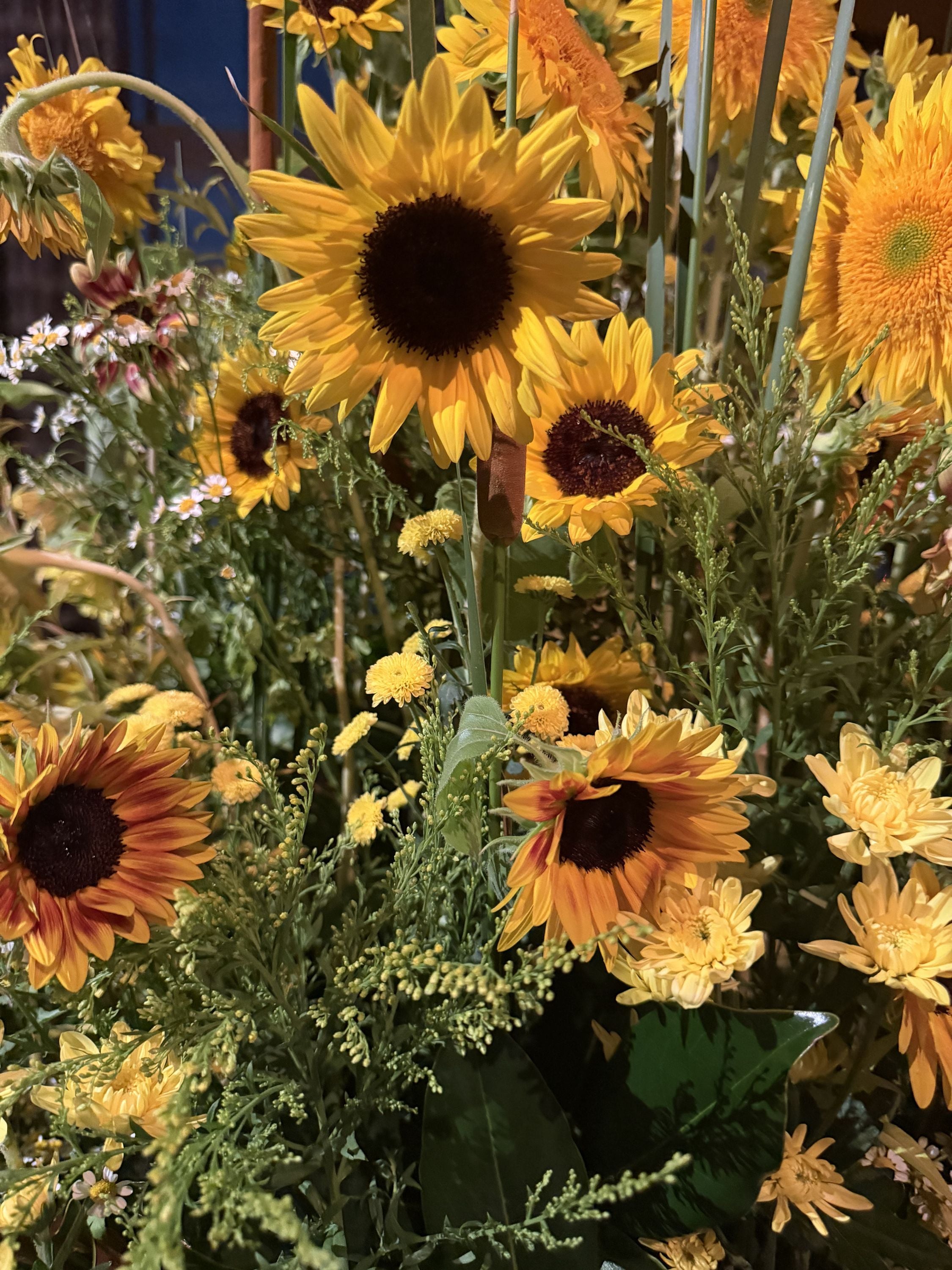 Levi’s 505s, land by Maggie O’ Farrell, vintage slips and homemade ice cream and sunflowers