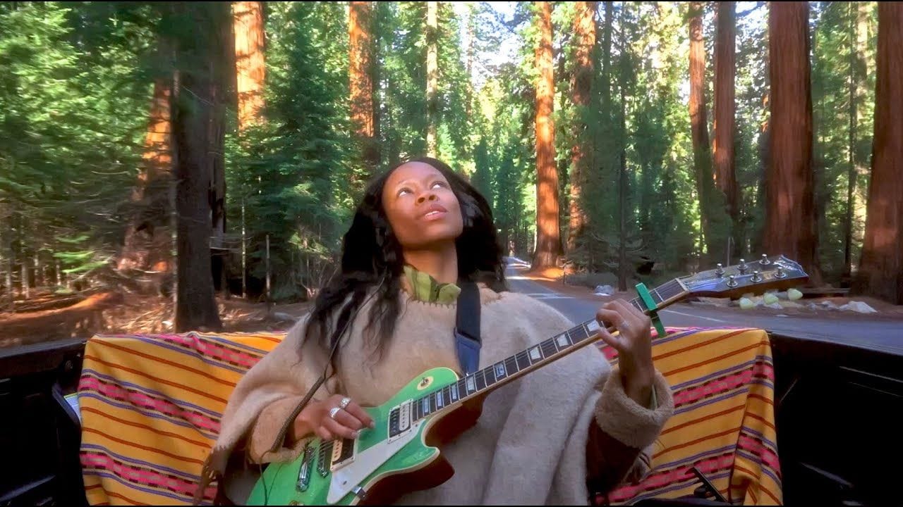 Redwood Resonance (Healing Guitar Frequencies)