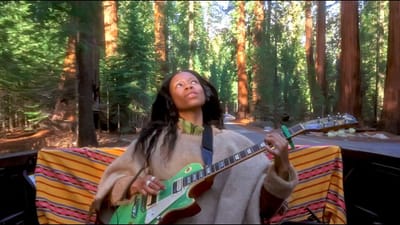 Redwood Resonance (Healing Guitar Frequencies)