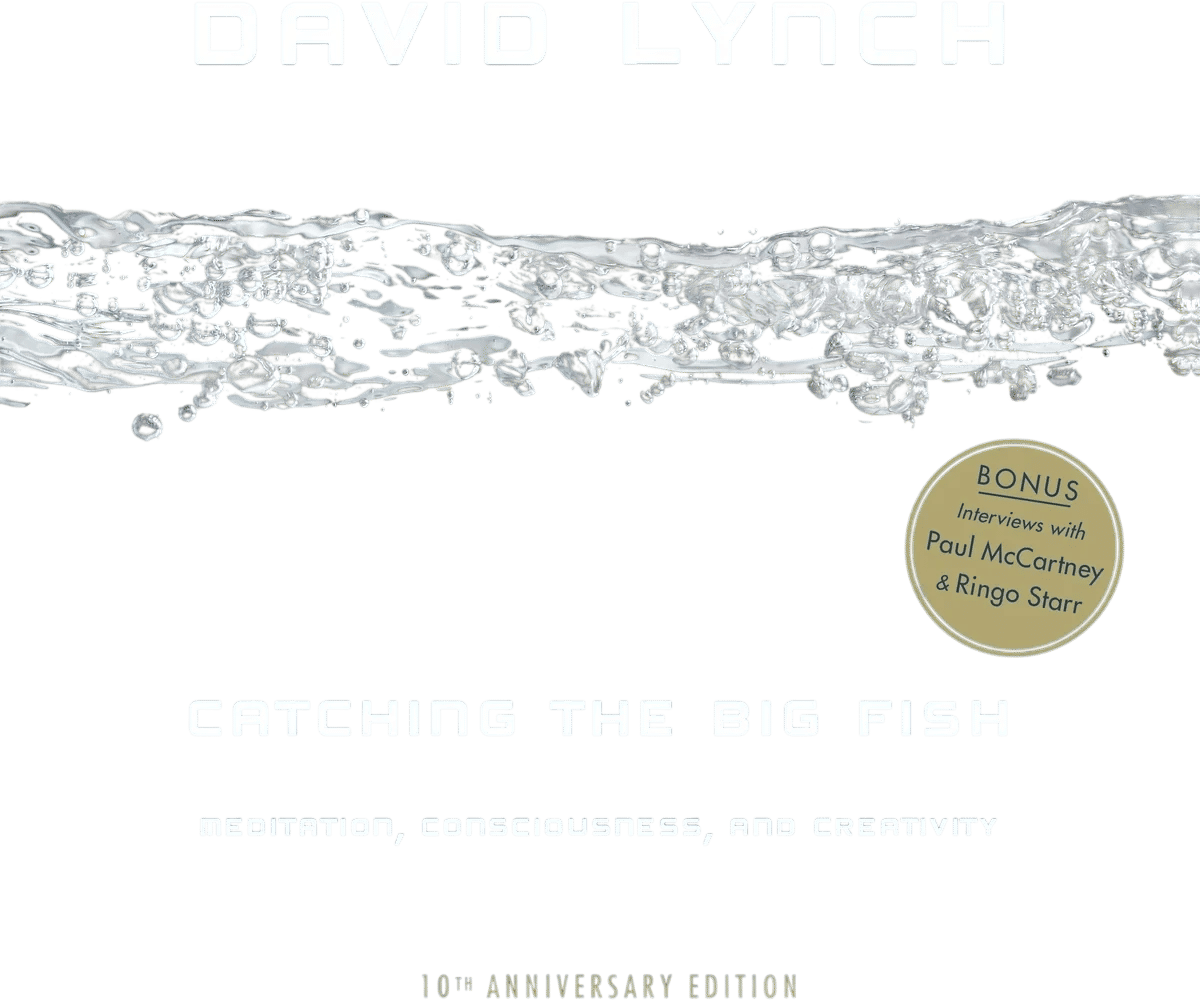 Catching the Big Fish: Meditation, Consciousness, and Creativity