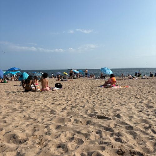 ny summer bucket list