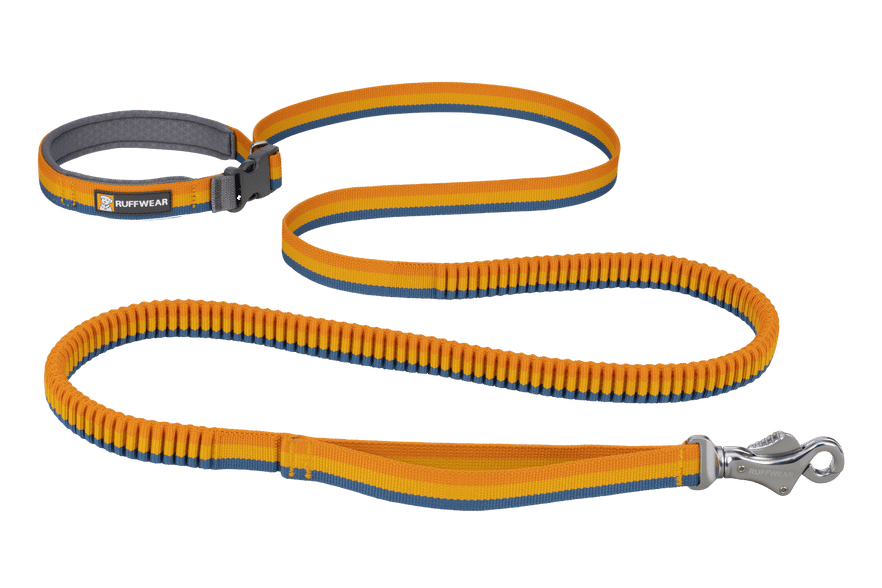 Roamer Bungee Dog Leash