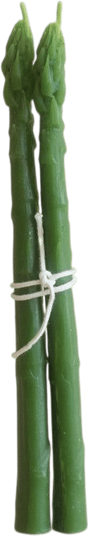 asparagus beeswax candles