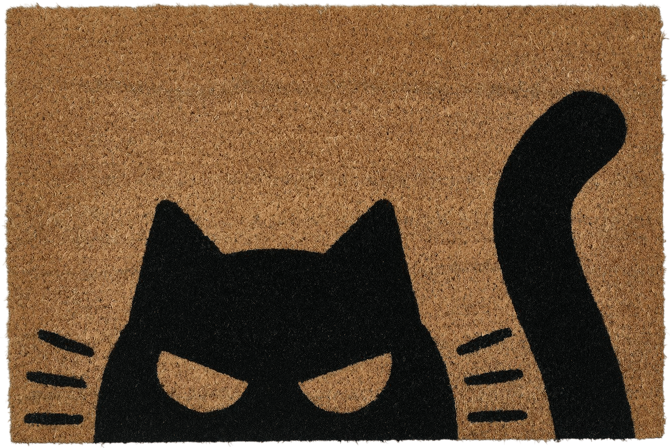 Evil Cat Door Mat