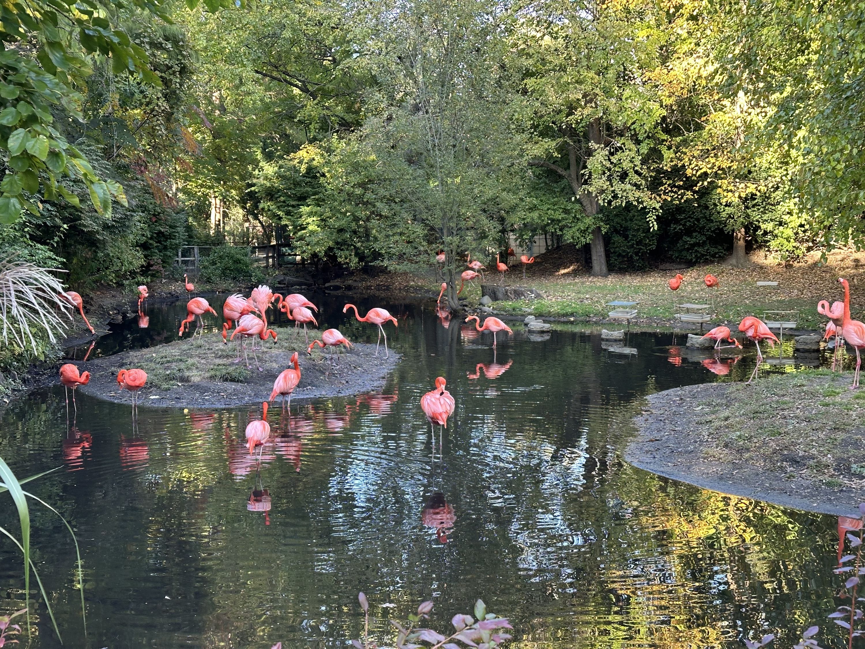 Go to the zoo/aquarium