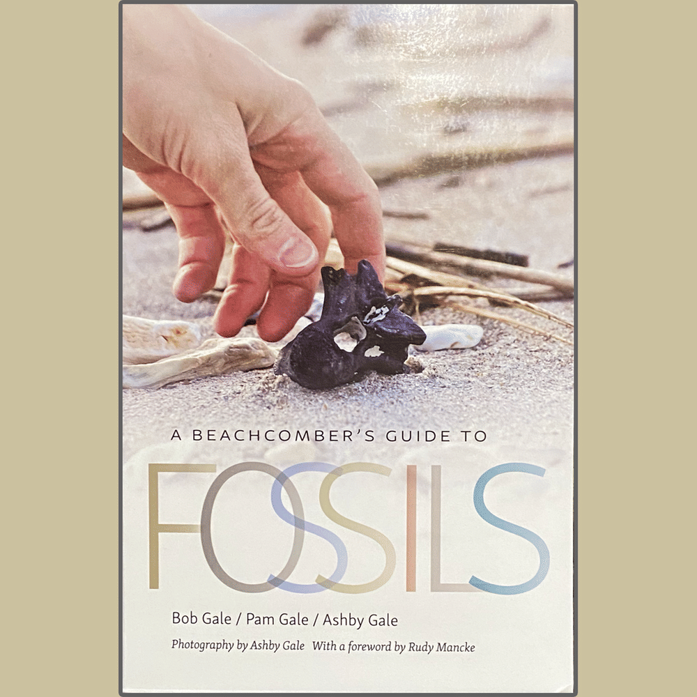 A Beachcomber's Guide to Fossils (Bob, Pam, and Ashby Gale)