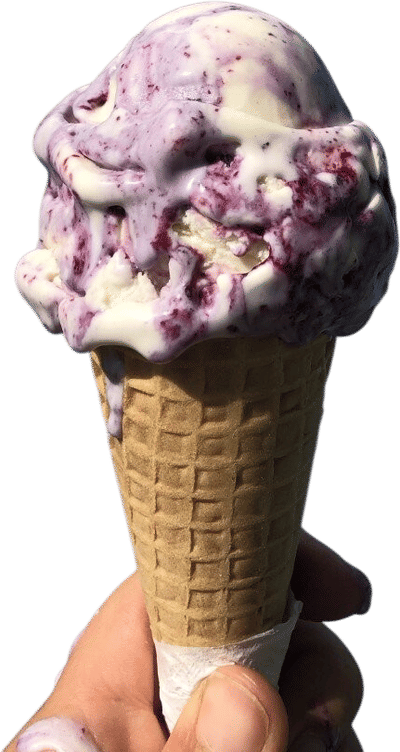 Fortunes Ice Cream