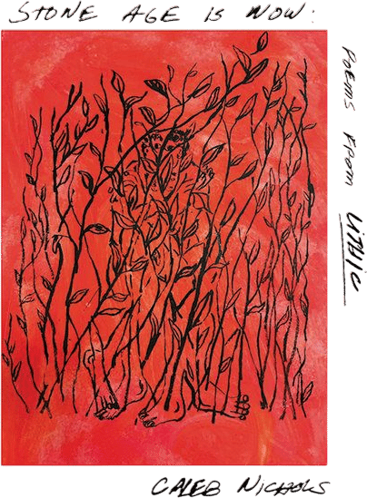 Stone Age Is Now: Poems from Lithic (Caleb Nichols)