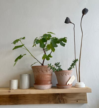 The Floral Society Shop