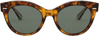 OLIVER PEOPLES | Ov5421su X The Row Georgica Cat-Eye Tortoiseshell-Print Acetate Sunglasses
