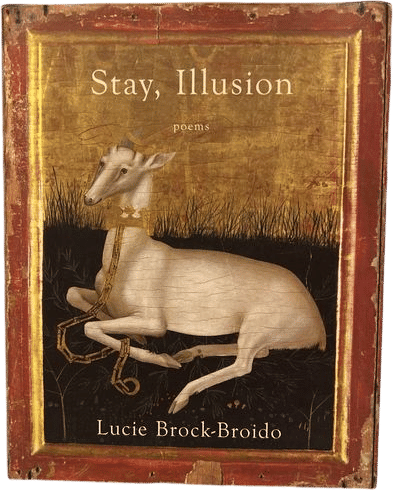 Stay, Illusion