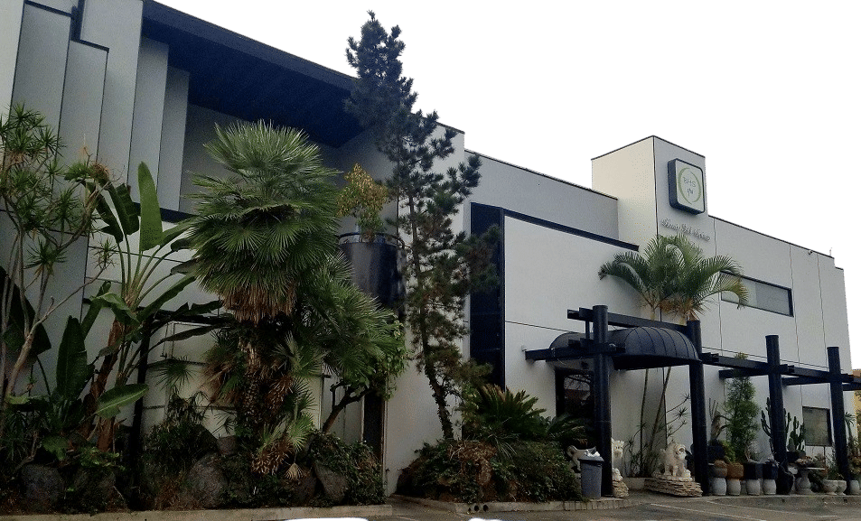 Hot springs in the city?!