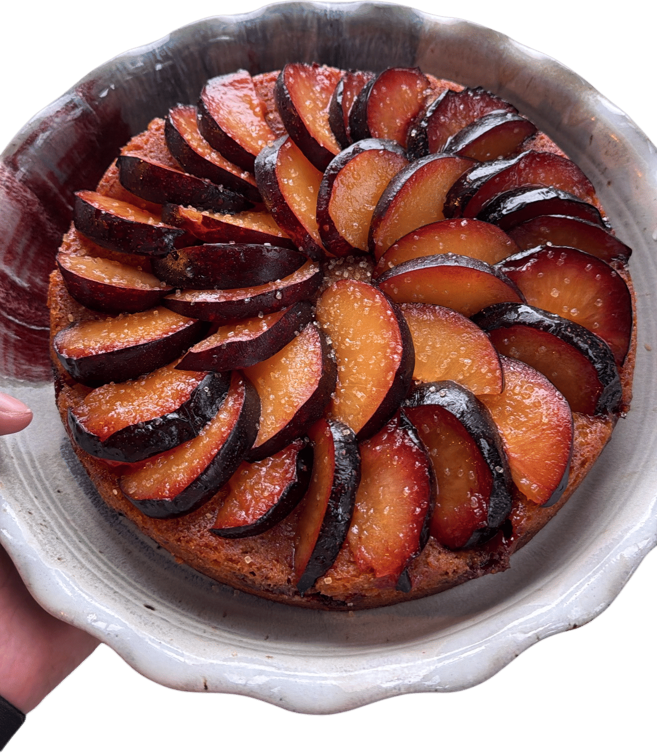 plum torte (turned upside down)