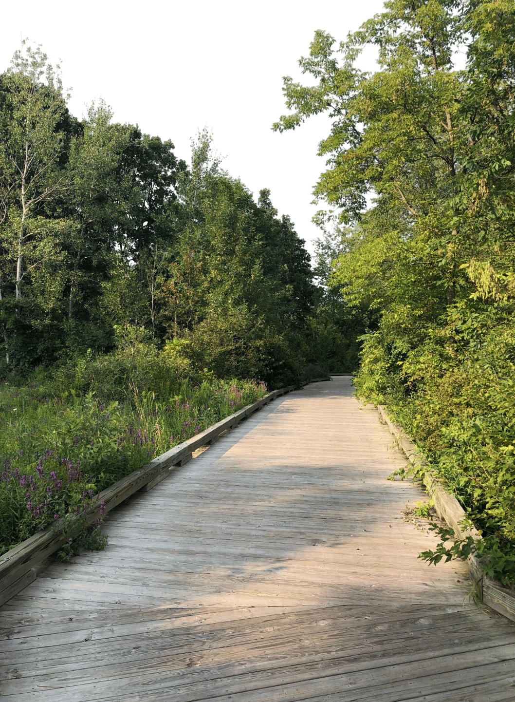 Ann arbor b2b trail