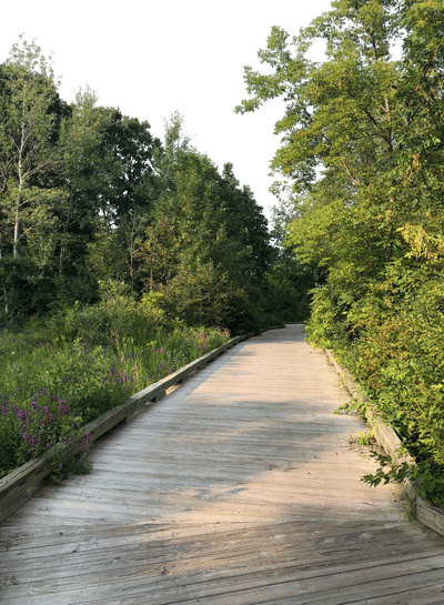 Border-to-Border Trail