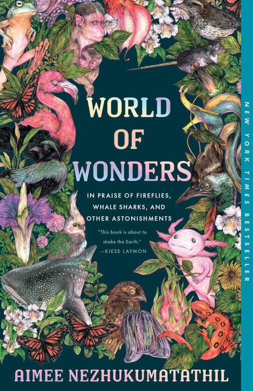world of wonders