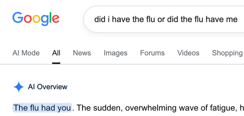 The Flu Had You