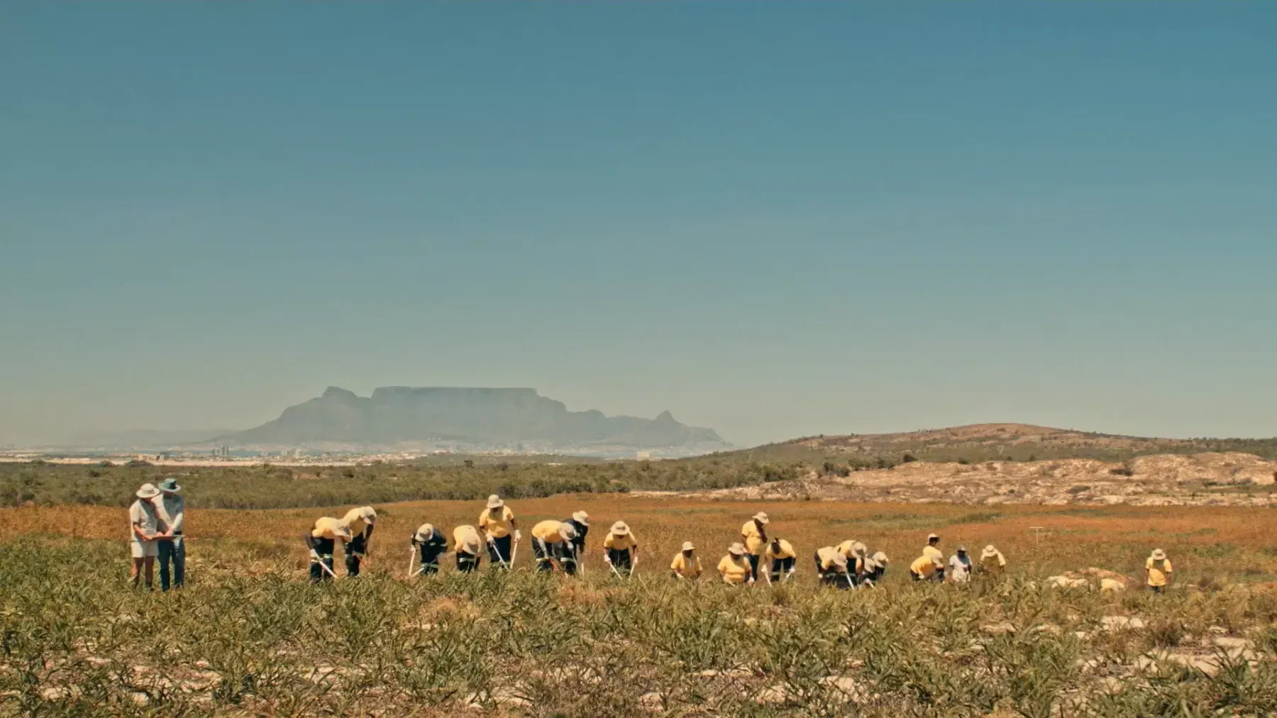 One Table Two Elephants (dir. Jacob von Heland, Henrik Ernstson)