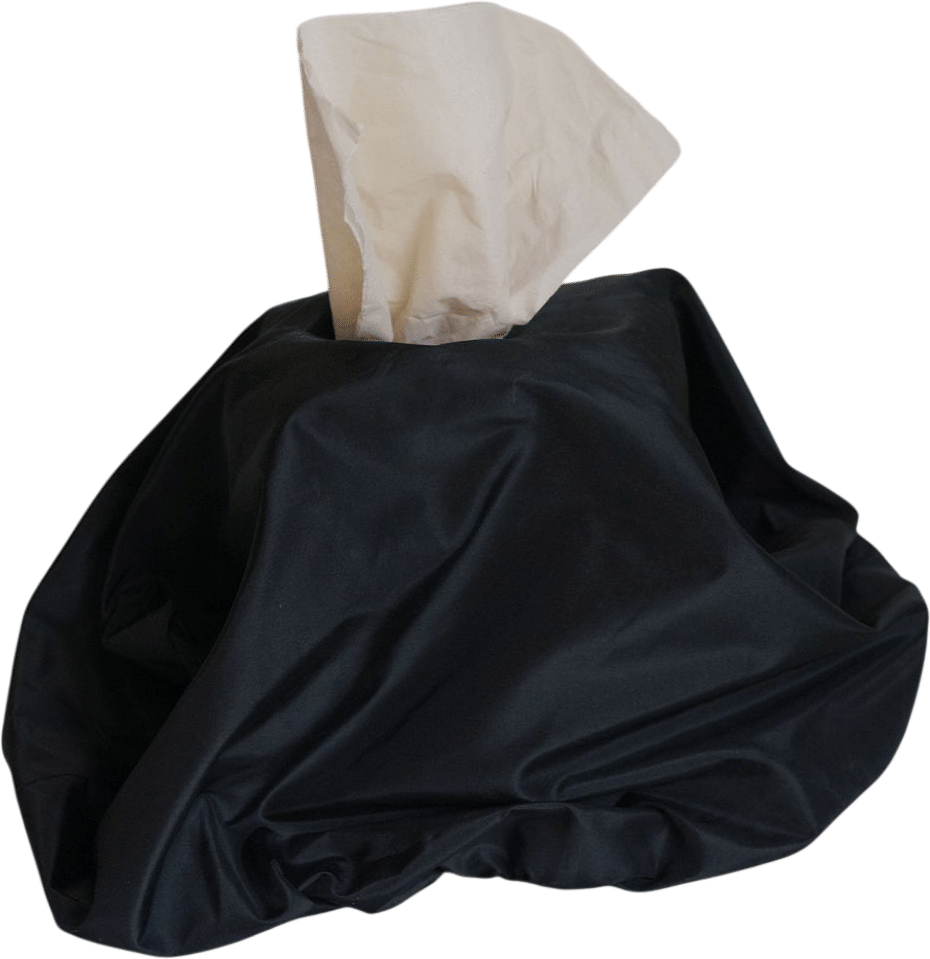 a goth dress for your tissue box