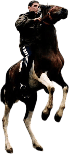 Honningbarna - Amor Fati