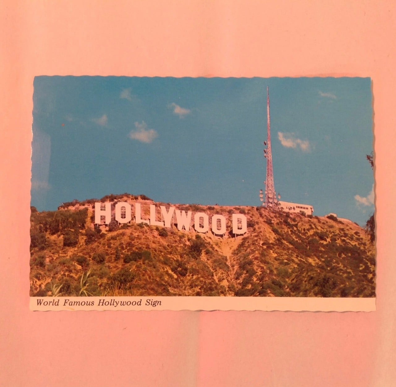 los angeles 🪽