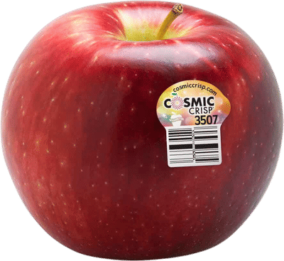 Cosmic Crisp Apples
