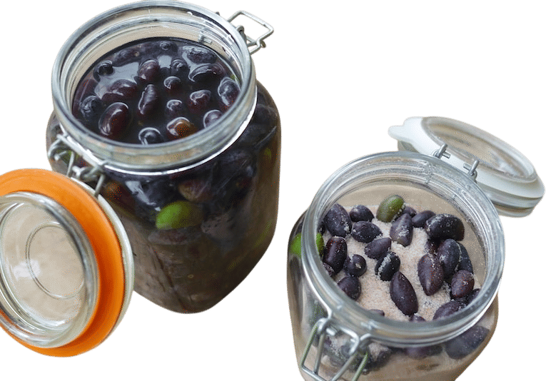 Curing your own olives
