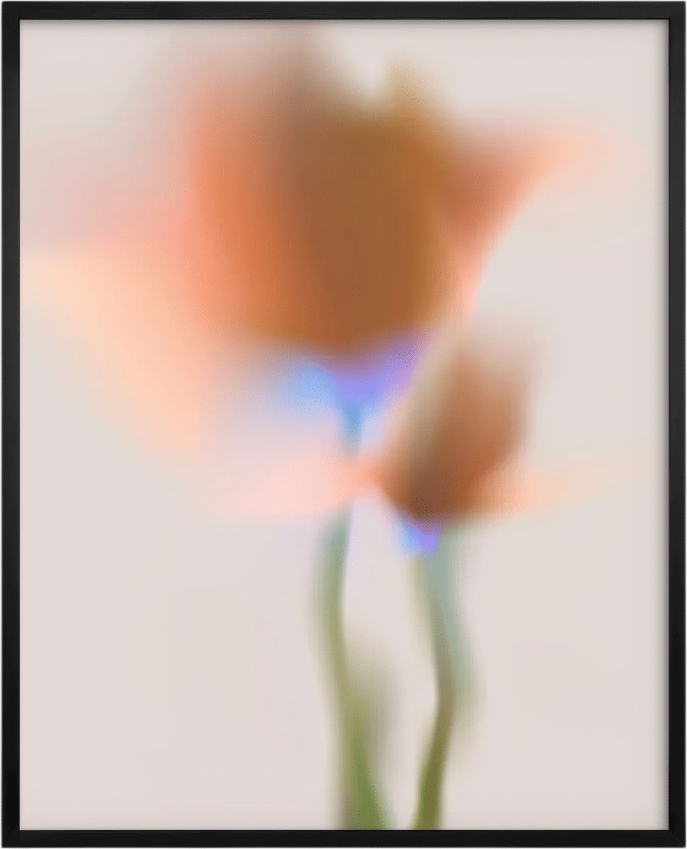 Orange Flower