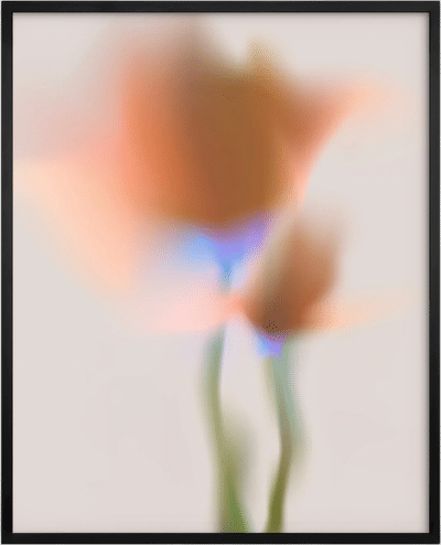 Orange Flower