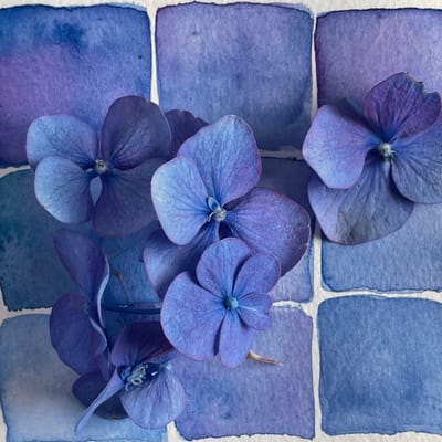 A Color-Filled Life
