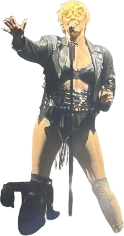 Robyn