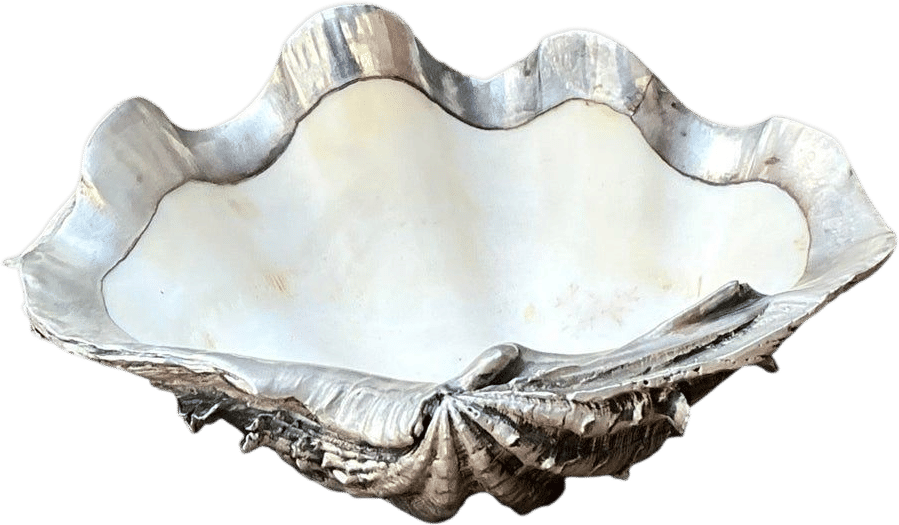Boho Chic Vintage Metal Dipped Ruffle Clam Shell