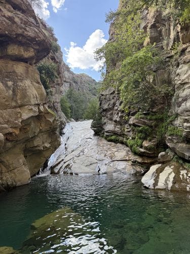 Santa Paula Punch Bowls