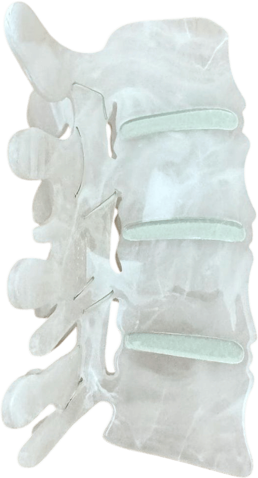Spine Hair Clip