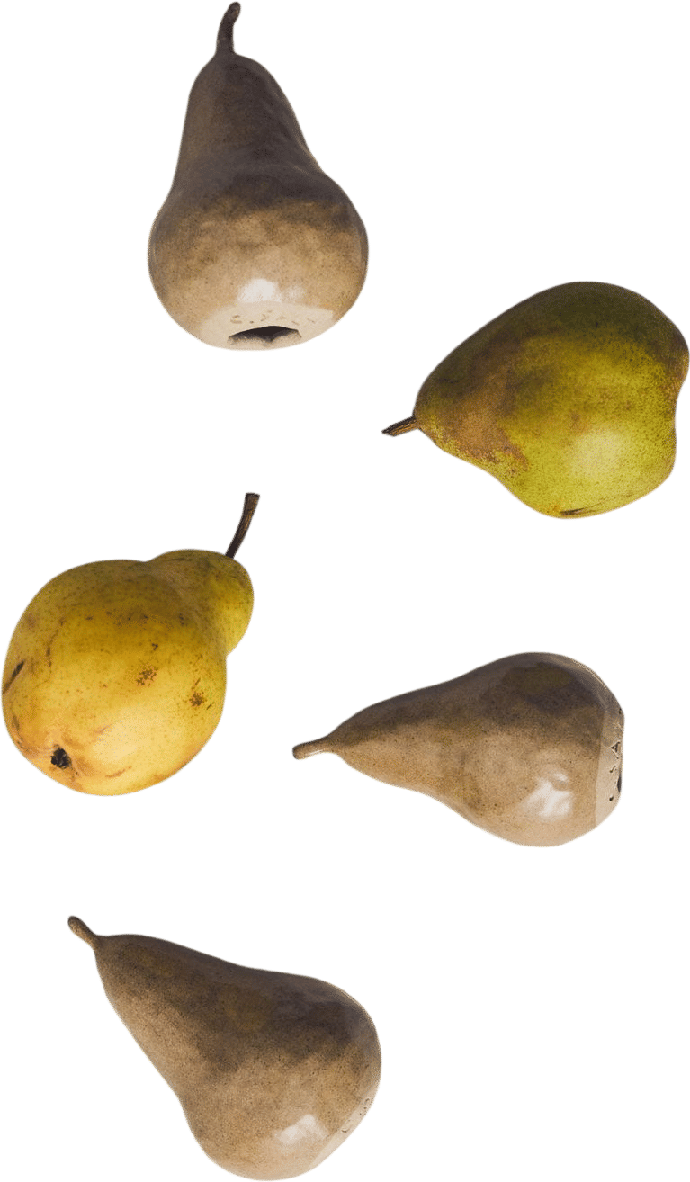 Charlotte Salt Ceramic Pear