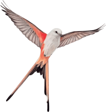 Members-Only Recommendation