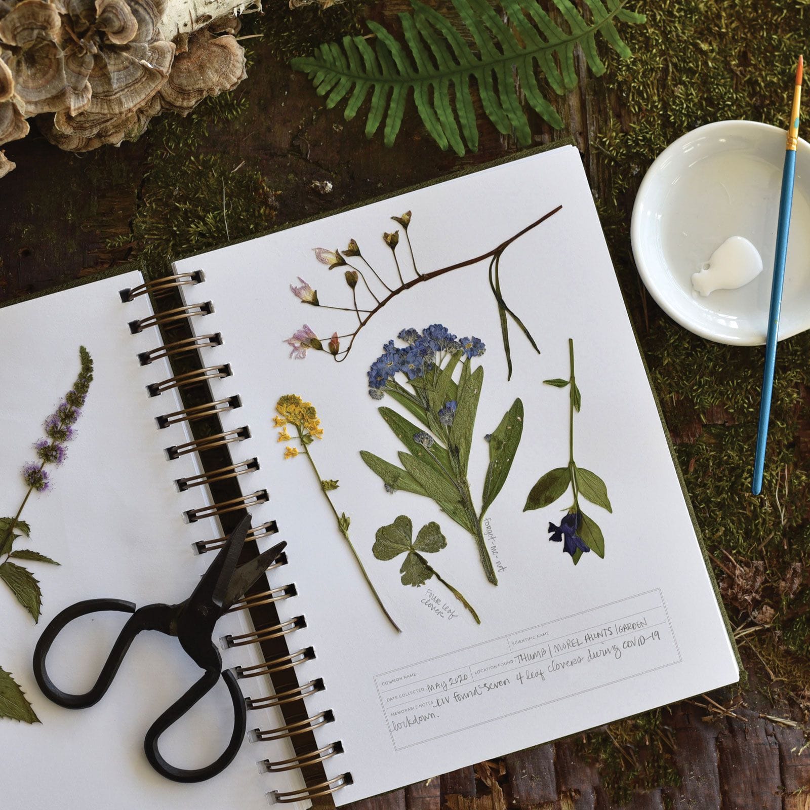 Herbarium Journals
