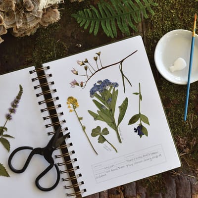 Herbarium Journal