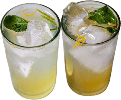 Lemon & Lime Mintade Recipe