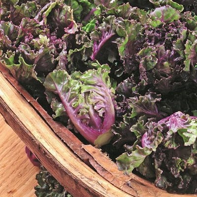 Kalettes
