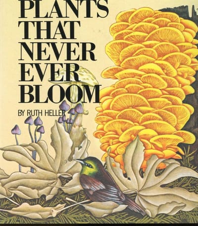 Plants That Never Ever Bloom