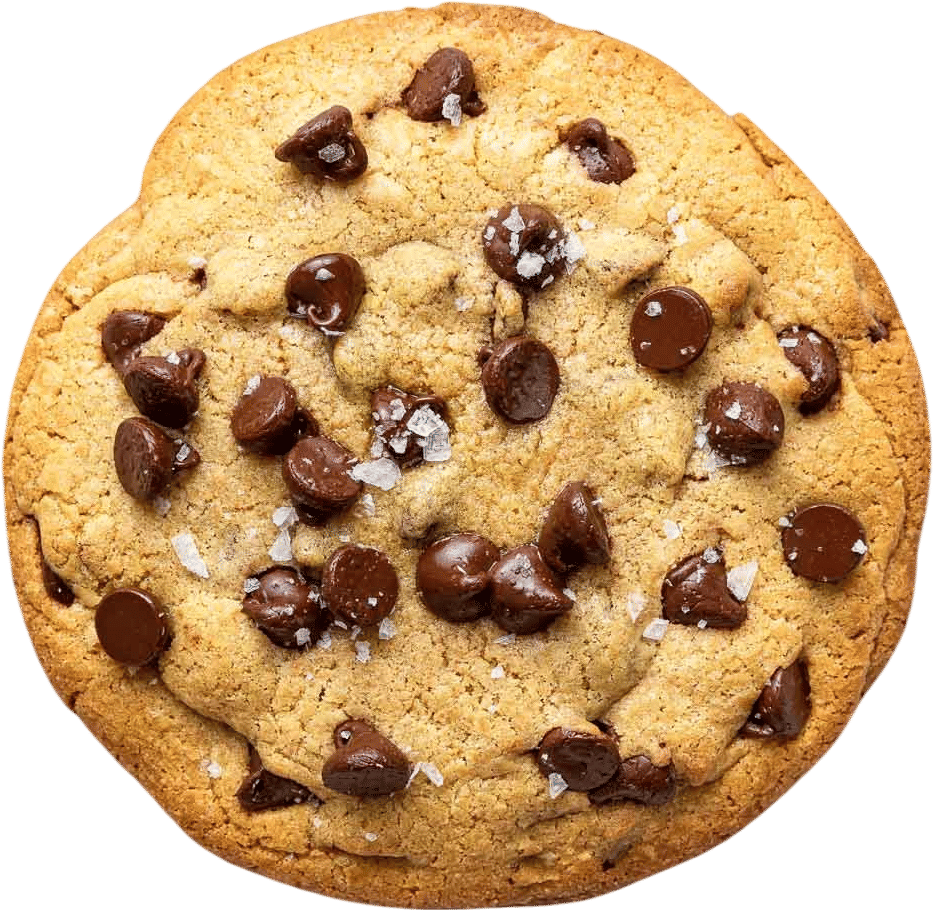 one chocolate chip cookie