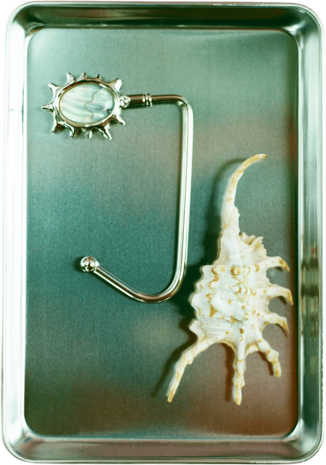 Abalone Purse Hook